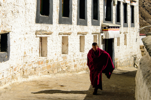 Solitary Monk